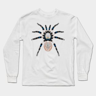 Spider Variations On A Theme Long Sleeve T-Shirt